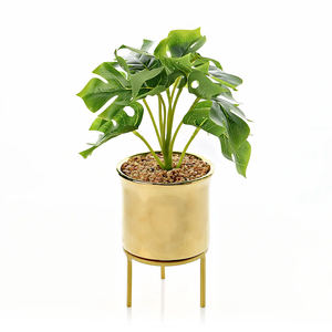 Macetero Metálico Moderno para Interiores con Soporte de Hierro Negro - Maceta Decorativa de Estilo Nórdico para Sala de Estar y Decoración del Hogar - Product Image 5