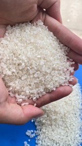 ข้าวขาวเวียดนามพรีเมียม จาโปนิก้า เมล็ดสั้น 100% โกชิฮิคาริ สำหรับซูชิ ข้าวแห้ง หักสูงสุด 5% ราคาโรงงานโดยตรง ขายส่ง LINDA - Product Image 6