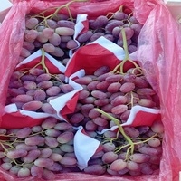 Heerlijke rode druiven met sappig vruchtvlees en een verfrissende smaak, perfect voor gezonde snacks, ontbijttafels en desserts.