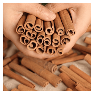 Varillas de canela premium de corteza de cassia para la producción de especias, aromatización de bebidas y repostería. Fabricante de Vietnam. - Product Image 5
