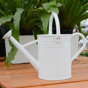 Regadera de Jardín con Cabezal de Aspersión para Plantas Bonsái, Regadera de Plástico Blanca para Jardinería Interior y Exterior - Product Image 2