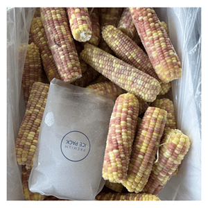 Maíz congelado IQF elaborado con granos de maíz dulce frescos para la fabricación de alimentos congelados, ensaladas y uso culinario, Vietnam - Product Image 5