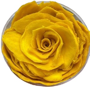 Golden Tropical Dried Mango Exported from Vietnam with <b>Sweet</b> Rich Taste - Product Image 5