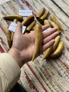 ปลายเผาขัดเขาควายธรรมชาติเป็นมิตรต่อสิ่งแวดล้อม - Product Image 5