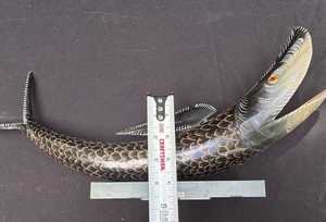 Pièce décorative en corne de buffle de qualité supérieure, prix bas, élégante, faite à la main, pour salon moderne - Product Image 4