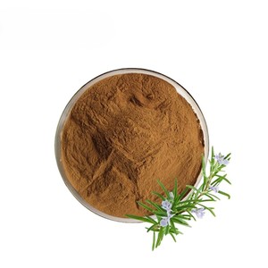 Poudre de romarin la plus vendue, mélange naturel de beauté, poudre de romarin pour masques capillaires, soins du cuir chevelu et applications cosmétiques - Product Image 3