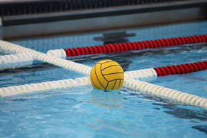 Balón de Waterpolo Personalizado RX Sports de Alta Calidad con Diseño Único, Acabado Pulido a Mano, Logotipo Personalizado y Empaque Personalizado - Product Image 6