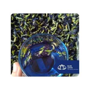 Fleur de pois papillon séchée de haute qualité pour infusion, mélange de boissons, coloration et pâtisserie, Vietnam - Product Image 1