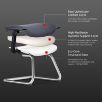 Chaise de Visiteur en Gros avec Accoudoirs 5D pour Réunions et Conférences
