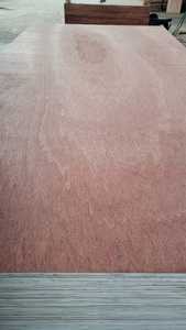 Modern Design <b>Black</b>/Brown Eucalyptus Plywood <b>Board</b> 12mm/15mm/18mm Thick Office Building 1 Year Warranty Graphic Design Solutions - Product Image 3