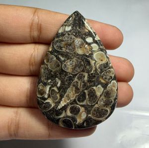 Lot en gros d'agates cabochons TURRITELLA au poids, avec différentes formes et tailles, utilisées pour la fabrication de bijoux, pierre TURRITELLA - Product Image 3
