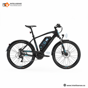Développement de systèmes d'alarme et de détection de vol pour vélos, développement de dispositifs antivol, solutions de sécurité connectées pour vélos - Product Image 1