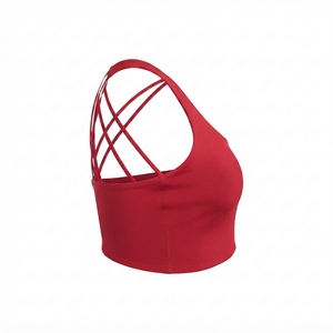 Sujetador Deportivo de Alto Rendimiento para Mujer, Ligero, Transpirable, Elástico, para Entrenamiento en Gimnasio, Logotipo Personalizado, Venta al por Mayor - Product Image 3