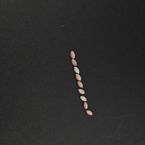Pierre précieuse corail rose Opel de haute qualité, pierre brute pour la fabrication de bijoux, pierres précieuses naturelles organiques, commande en gros - Product Image 3