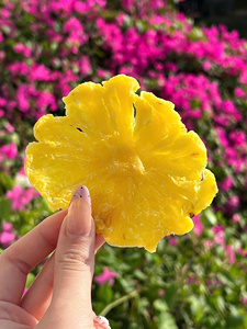 Anneaux d'ananas déshydratés, collation naturelle et saine, en vrac, fournisseur vietnamien, nouvelle récolte 2026 - Product Image 4