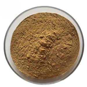Finely Processed Gymnema Sylvestre Powder Natural Plant Based Gymnema Sylvestre Powder Bulk Supplier <b>For</b> Energy Support Products - Product Image 4