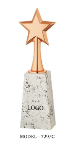 •Professional star <b>trophy</b> with customized details. - Product Image 4