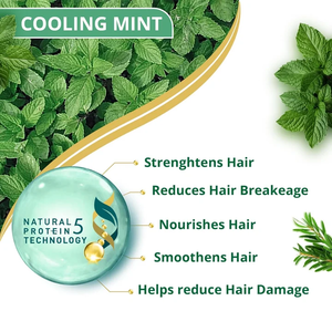 Champú refrescante de menta a base de hierbas enriquecido con aceite de árbol de té, formulado para combatir la caspa, calmar el cuero cabelludo y revitalizar el cabello, apto para hombres. - Product Image 2