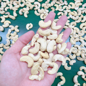 Trusted Factory Cashew <b>Nuts</b> <b>Kernel</b> <b>Nuts</b> Kaju SANTIGO Cashew <b>Kernels</b> Exported Worldwide - Product Image 6