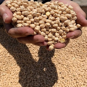 Garbanzos Desi Enteros Naturales a Granel, Secos, Medianos, de Textura Firme, Premium, Kala Chana, para Currys, Sopas, Ensaladas, Comidas Saludables Diarias - Product Image 5