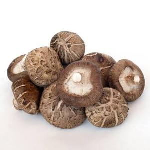 Hongos Shiitake Secos y Blanqueados, a Granel, Calidad Premium, Marca Privada OEM, Vietnam - Product Image 4