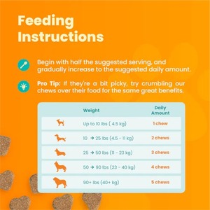 Multivitamínico para perros y gatos con certificación GMP, masticables suaves, embalaje personalizado, nutrientes esenciales para el bienestar completo, compradores B2B - Product Image 5