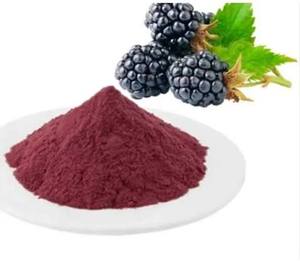 Blackberry <b>Extract</b> Powder Wild Deep Red Fruit Plant <b>Extract</b> Solvent Extraction Food Grade Natural Dietary Supplement Drum/CAN - Product Image 1