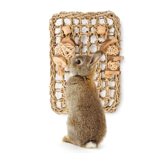 เสื่อสานมือจากหญ้าทะเลสำหรับสัตว์เลี้ยง ป้องกันการกัดแทะ ของเล่นสำหรับกระต่าย ชินชิล่า แฮมสเตอร์ จากเวียดนาม ขายส่ง - Product Image 3