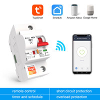 Disjoncteur intelligent WiFi Tuya 1P AC230V/120V, option 16A-125A, contrôle vocal Alexa Google, pour maison et commerce PST-MCB-1P