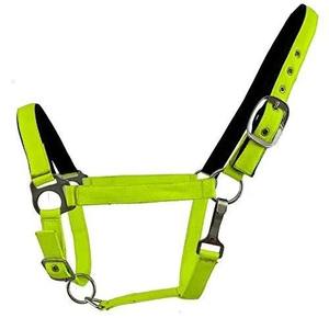 Harnais pour cheval en nylon violet réglable avec boucles et anneaux métalliques - Product Image 2