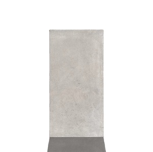 Azulejos de cemento de piso de cerámica rústica de porcelana con aspecto de hormigón de Color gris de alta calidad 60x120cm - Product Image 1