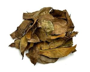 Dried Soursop Leaves <b>Tea</b> Organic Vietnam Health <b>Tea</b> 25 <b>Tea</b> Bags <b>Box</b> - Product Image 3