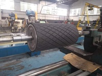 Rouleaux en caoutchouc Phoenix Abc toutes tailles pour les usines de papier et de textiles, matériau ébonite durable, technologie allemande sans joint, ISO9001:2008 CE