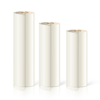 Film vinyle thermocollant de haute qualité, film PET DTF pour impression DTF personnalisée sur t-shirt/casquette/sac