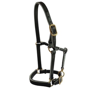 Black <b>Brown</b> or <b>Tan</b> English Leather Horse Halter with Brass Buckle Adjustable Padded Design for Stable Control and Comfort - Product Image 3