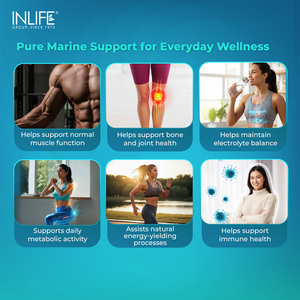 Complejo Multimineral de Agua de Mar con Magnesio Aquamin Certificado por GMP, 60 Cápsulas, Suplemento Dietético para Adultos para Energía y Densidad Ósea - Product Image 2