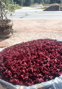 Té de Flor de Hibisco de Alta Demanda, Calidad Superior para Preparar Té y Mejorar el Flujo Sanguíneo, Uso Seguro y Limpio - Product Image 6