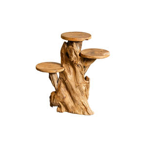 ARTERRA Support de Présentation en Bois Massif Artisanal Naturel Rustique en Racine de Teck Bio Premium pour Décoration Intérieure/Extérieure - Idéal Diwali - Product Image 1
