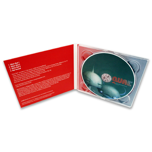 Emballage Digipak en carton pour album musical avec revêtement mat et pressage de disques - Product Image 2