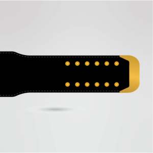 Ceinture de championnat de lutte personnalisée, sangle bleue, plaques métalliques dorées, équipement sportif personnalisé, ceinture de championnat personnalisée, personnalisable - Product Image 6