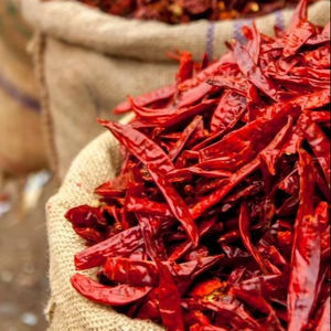 Pimientos rojos enteros secos – Capsicum annuum de primera calidad, duración de 12 a 18 meses, secados al sol para un sabor vibrante - Product Image 1