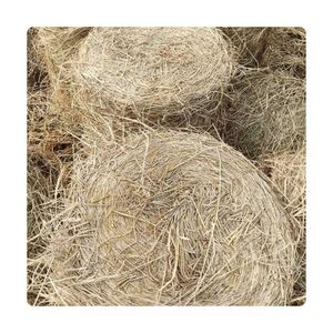 BEST SELLER Dry Rice Straw For Useful Soil Mulching Moisture Retention And Bio Energy <b>Pellet</b> Production Wholesales Set - Product Image 1