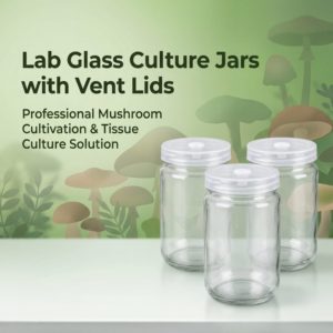 Botol Kaca Kultur Jamur 240/350/650ml dengan Tutup Filter 0,22um untuk Laboratorium Mikologi dan Kultur Jaringan Tanaman - Product Image 2