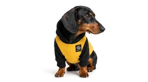 Soft <b>Dog</b> <b>Hoodies</b> Offering Warmth Comfort Breathable Fabric And Modern Style Perfect For Daily Wear Travel Walks And Outdoor Fun - Product Image 5