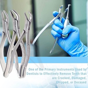 Ensemble de forceps d'extraction dentaire de qualité supérieure Cryer Cowhorn, pinces d'extraction universelles supérieures et inférieures, instruments en acier inoxydable - Product Image 5