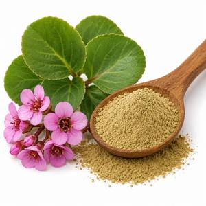 Fournisseur en gros d'ingrédients à base de plantes : Poudre d'extrait de Bergenia Ligulata, Matière botanique de qualité supérieure pour compléments alimentaires - Product Image 6