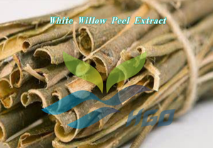 Suministro Directo de Fábrica HGO de Extracto Puro y Natural de Corteza de Sauce Blanco, Grado Alimenticio, Especificación 10:1 - Product Image 3
