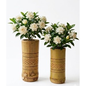 Jarrones y Macetas Cilíndricos de Bambú Hechos a Mano |   Decoración Ecológica al por Mayor de Moradabad - Product Image 2