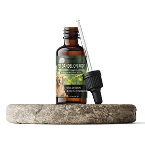 Suministro de fábrica Extracto de raíz de diente de león natural OEM Gotas de raíz de diente de león para mascotas Gatos Perros - Product Image 3