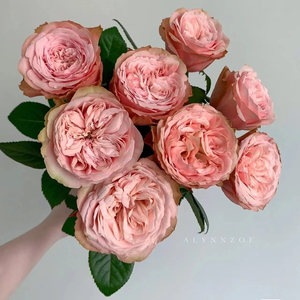 Arrangements Décoratifs Événements Rose Fleur Naturelle Fraîche Qualité Supérieure Belle Fleur Parfumée Produit Floral Adapté - Product Image 6